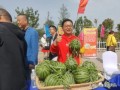 夏邑吃瓜事件始末,一场网络舆论的风波与反思