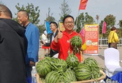 夏邑吃瓜事件始末,一场网络舆论的风波与反思