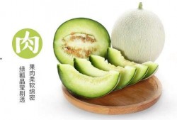 可爱的小瓜怎么吃,探索可爱小瓜的吃法世界