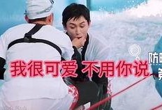 吃瓜打闹,揭秘娱乐圈的欢乐时光