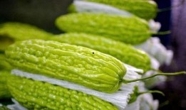 吃虾后可以吃凉瓜嘛,吃虾后适宜食用凉瓜的饮食搭配指南