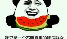 如何向吃瓜群众解释,如何向吃瓜群众解释复杂概念