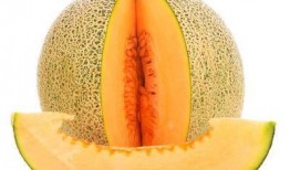 肌瘤可以吃哈密瓜