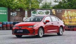 明星吃瓜动态视频,揭秘娱乐圈幕后故事