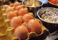 逛夜市吃瓜,美食之旅尽享人间烟火气