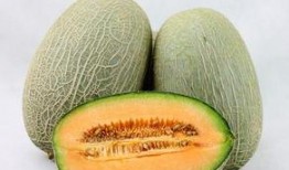 不能和什么一起吃哈密瓜,揭秘不能与哪些食物同食