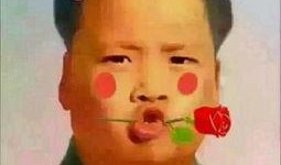 roy吃瓜视频,揭秘娱乐圈幕后故事