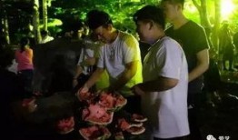 城市大学吃瓜事件,揭秘校园网络暴力的阴影面