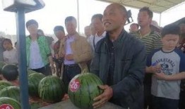 即墨吃瓜群众,吃瓜群众的欢乐时光