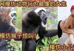 模仿动物吃瓜,动物们的“吃瓜”大作战