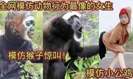 模仿动物吃瓜,动物们的“吃瓜”大作战