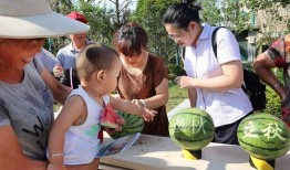 依然v吃瓜,揭秘娱乐圈最新热点事件