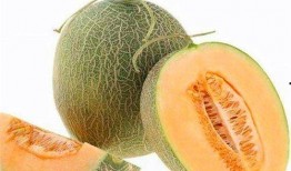哈密瓜吃的卡路里,健康美味两不误