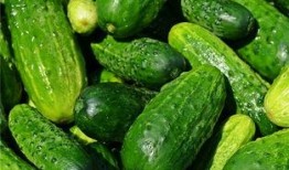 梦见摘瓜煮吃,摘瓜煮食的奇幻之旅