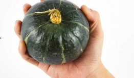 吃瓜巴掌,揭秘娱乐圈背后的故事