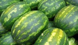 吃红瓜禁忌,食用禁忌须知