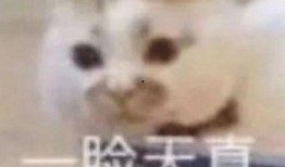 女人发吃瓜表情包,揭秘女性“吃瓜”表情包背后的社交心理