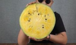 吃瓜 国产精品,吃瓜群众的热议焦点