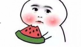 阿呆阿瓜吃包子,一场味蕾与情感的碰撞