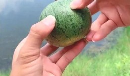 吃瓜巴掌,揭秘娱乐圈背后的故事