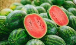 小曲吃瓜,揭秘娱乐圈那些不为人知的幕后故事