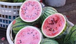 吃瓜手都打红了,手都打红了！揭秘疯狂吃瓜背后的疯狂故事