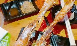 吃瓜多尔虾,揭秘吃瓜多尔虾的独特魅力