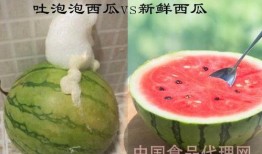 泡泡视频吃瓜区域