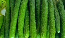 玉密瓜怎么吃,解锁美味新体验