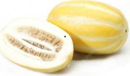 蓝舌头吃瓜,揭秘吃瓜背后的趣味与奥秘