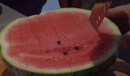 沙头公园吃瓜,夏日休闲好去处