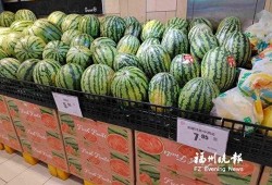 安徽多金集团吃瓜,揭秘背后的“吃瓜”故事与商业传奇