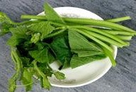 兰瓜腾怎么吃,解锁美味新体验