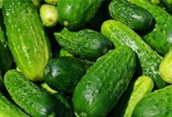 梦见吃酸小瓜,酸小瓜引发的奇幻之旅