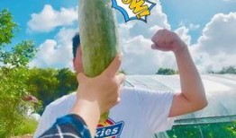 过度吃瓜违法吗,揭秘网络舆论的边界