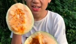 吃货木下吃哈密瓜