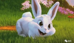 吃瓜小甜兔,揭秘娱乐圈那些不为人知的幕后故事