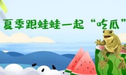 蛙吃瓜手指谣,手指谣趣味盎然