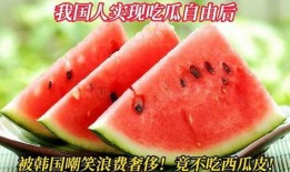 中国吃瓜网站,网络舆论场上的“瓜王”风云