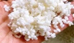 糯米公主吃瓜,糯米公主的甜蜜瓜果盛宴