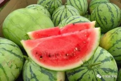 甜圈吃瓜,揭秘娱乐圈甜蜜背后的秘密