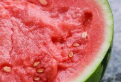 肥肥杭州吃瓜,揭秘网红美食背后的故事