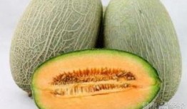 肌瘤可以吃哈密瓜