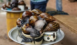 非洲人吃蜜瓜,蜜瓜美食之旅