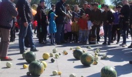 紫帽山吃瓜比赛完整版,一场舌尖上的狂欢盛宴