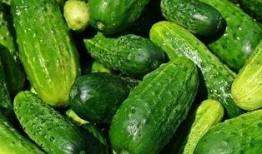 关于吃瓜的名称,揭秘吃瓜文化的魅力与演变