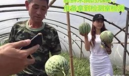 铁衣吃瓜直播,揭秘娱乐圈幕后故事