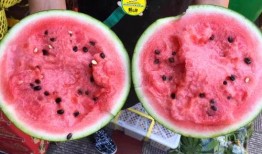 吃瓜网友的吃瓜号,揭秘娱乐圈幕后真相