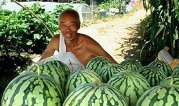 坐路边吃瓜,见证人间百态