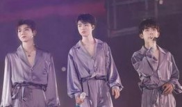 tfboys演唱会吃瓜,吃瓜群众揭秘幕后趣事